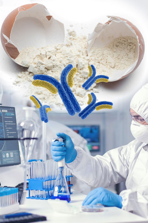 science-lab-cdiff-antibodies-production